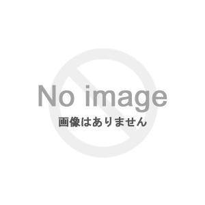 ヤマト工芸 ダイワ(DAIWA) 21 ソルティガIC 300HL-SJ - 通販 - contre