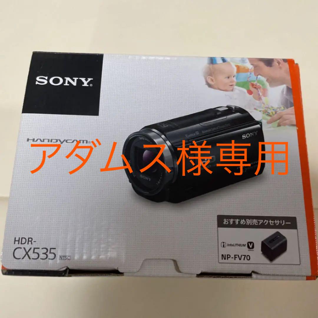 ソニー SONY ビデオカメラ Handycam CX535 内蔵メモリ32GB ピンク HDR-CX535/P｜ビデオカメラ