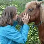10 bonnes raisons d’adopter un poney shetland