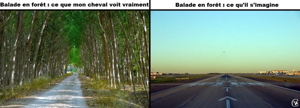 galop en balade