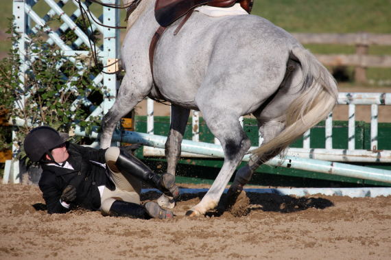 cheval sadique chute