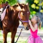 Débuter l'équitation : les moments qu'on a tous vécus à poney