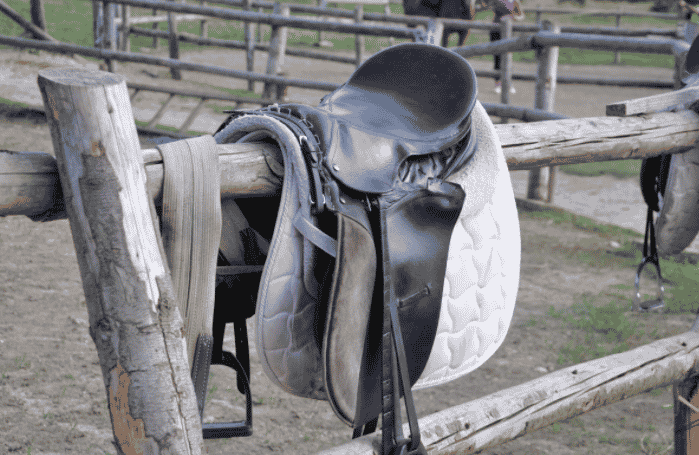 selle propriétaire de cheval