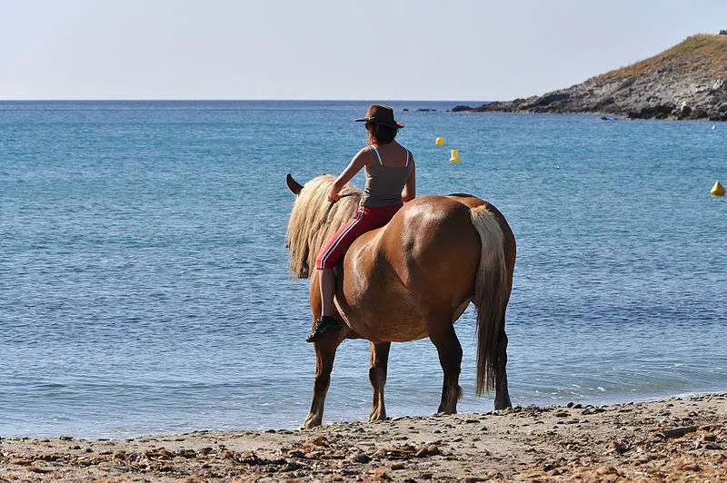 vacances à cheval
