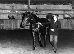 jappeloup de luze et henry delage