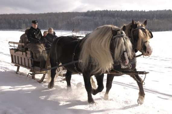 black forest cheval 