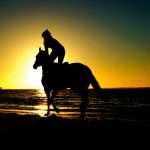 5 bonnes raisons de continuer l'équitation