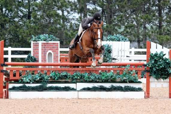 parcours de hunter
