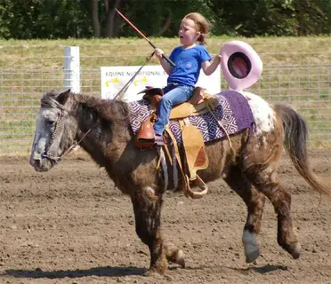 Ces Galeres De Poney Trop Mignon Auxquelles On Ne Pense Jamais Contre Galop