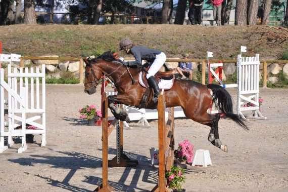 non cavalier admiratif