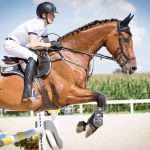 Top 5 des faits qui prouvent que l’équitation est un sport