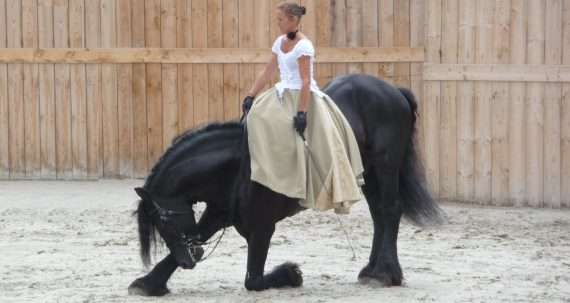 cheval noir frison