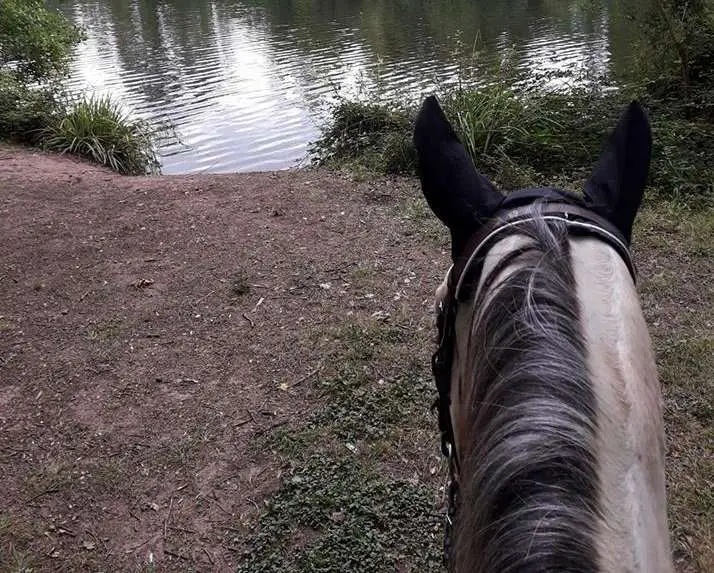selfie à cheval 