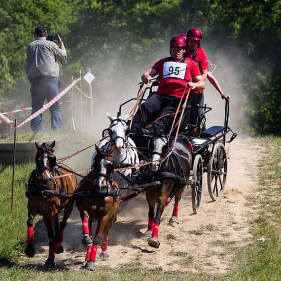 essayer l'attelage concours