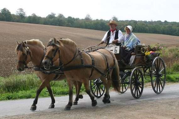 essayer l'attelage en famille