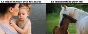 avoir un poulain