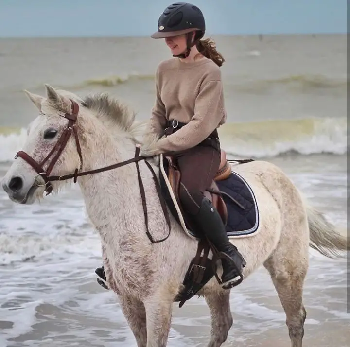 cheval à la plage
