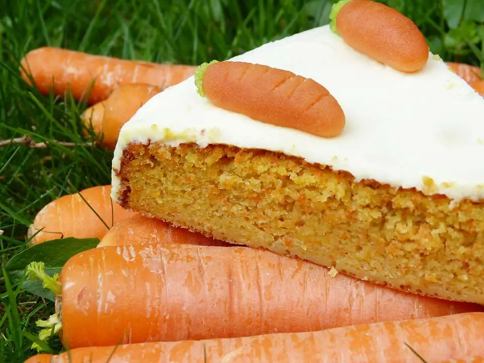carrot cake cavalier bisounours