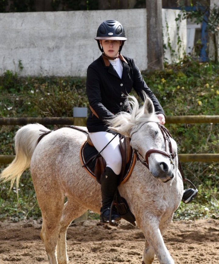 cheval qui secoue la tête