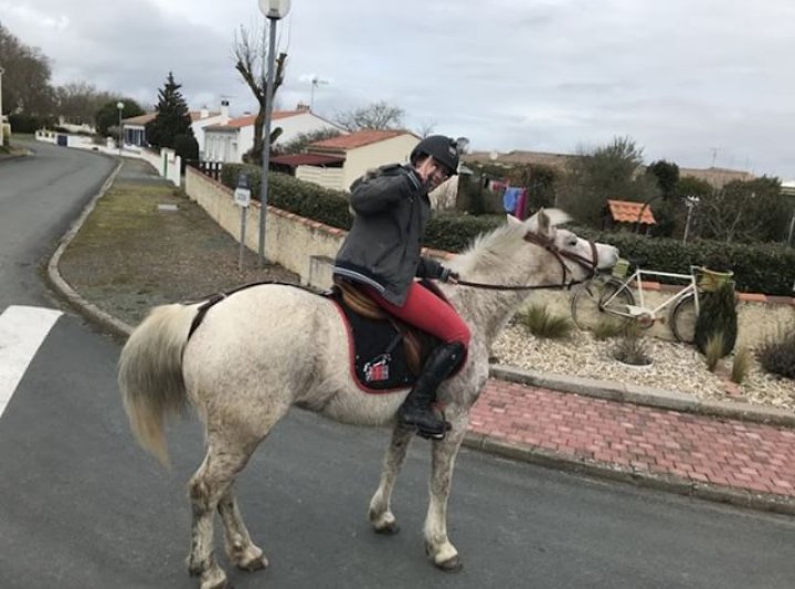 cavalier bien habillé