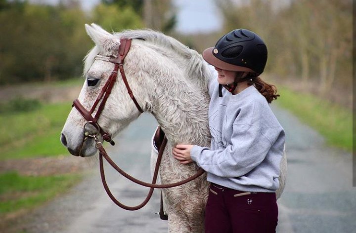 pose photo cheval 