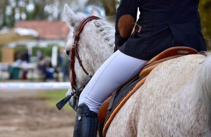 photo de cheval originale