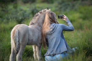 Selfie à cheval habitudes des cavaliers