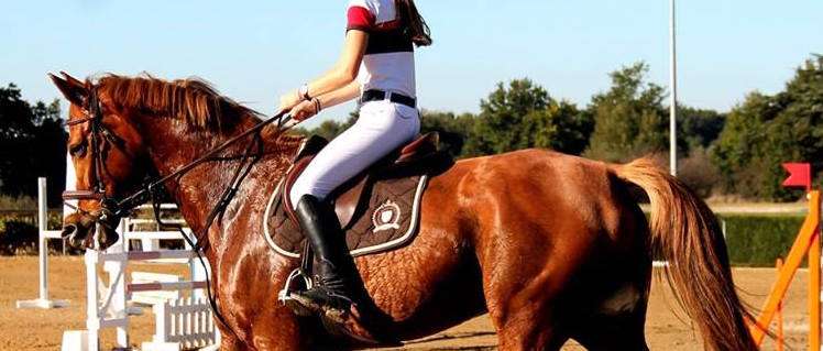 ceinture pantalon de concours