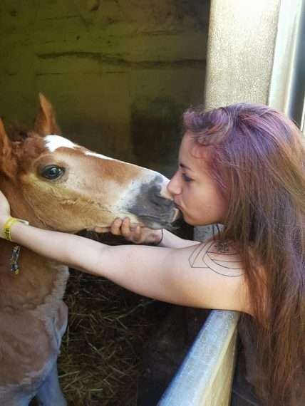 cheval roux