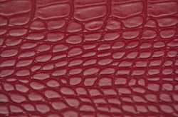 cuir de crocodile