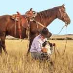 Top des raisons de se mettre à l'équitation western