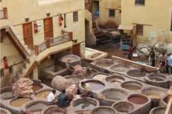 tannerie