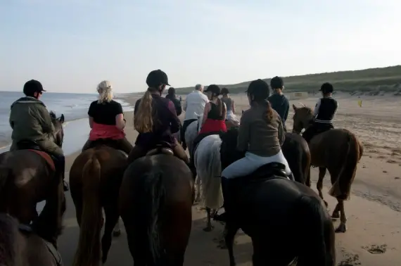 balade à cheval plage