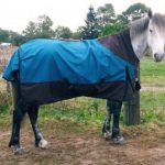 Les couvertures pour chevaux : Le guide complet