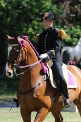 cavalier cadre noir