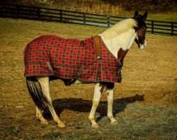 couverture pour chevaux