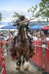 joutes chevalerie