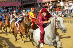 course chevaux moyen âge