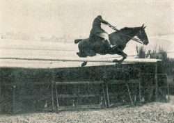 début saut d’obstacle