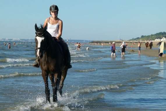 cheval à la plage
