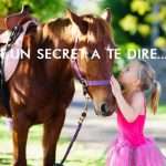 Ces petits secrets de cavalier inavouables