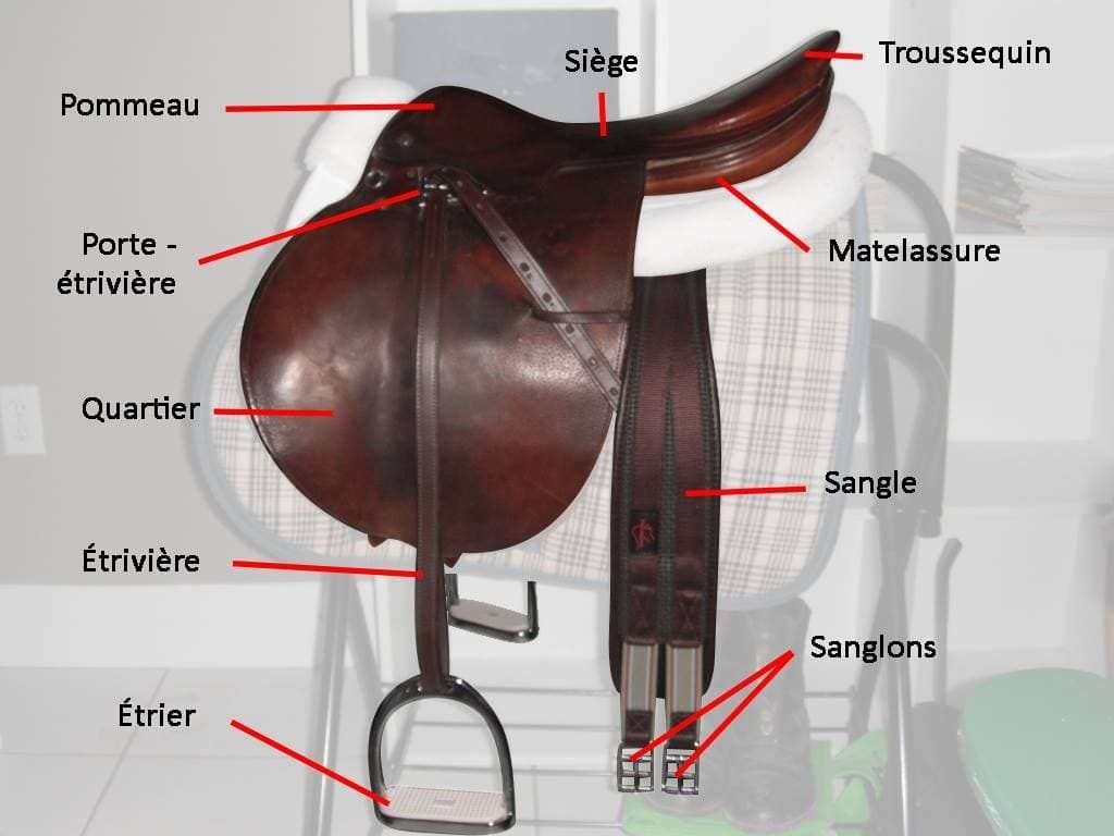 galop-2-la-selle - lagourmettesl