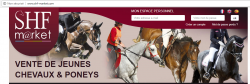 vente de jeunes chevaux de sport