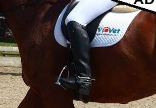 mollets cavalier