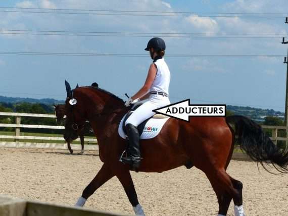 courbatures du cavalier