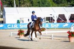cycle jeunes chevaux dressage