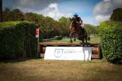 cross jeunes chevaux