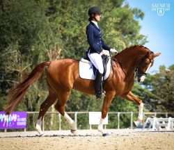 finale cycles classiques dressage