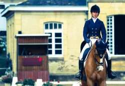 dressage CCE