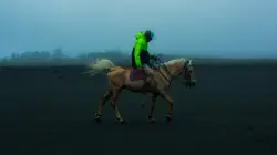 endurance cheval désert